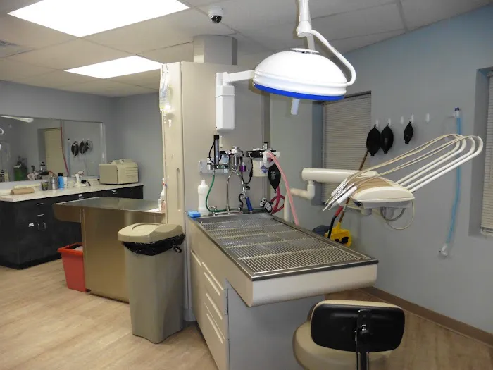 Bayport Veterinary Hospital Picture 9