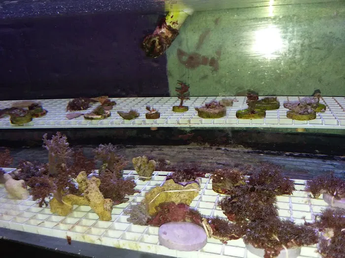 Waterbury Aquarium Picture 1