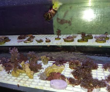 Waterbury Aquarium