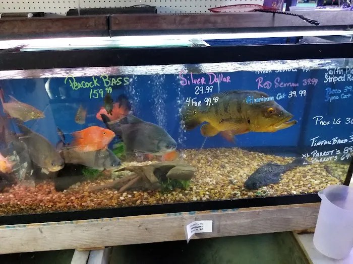 Waterbury Aquarium Picture 2