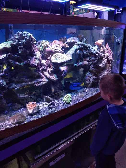 Waterbury Aquarium Picture 3