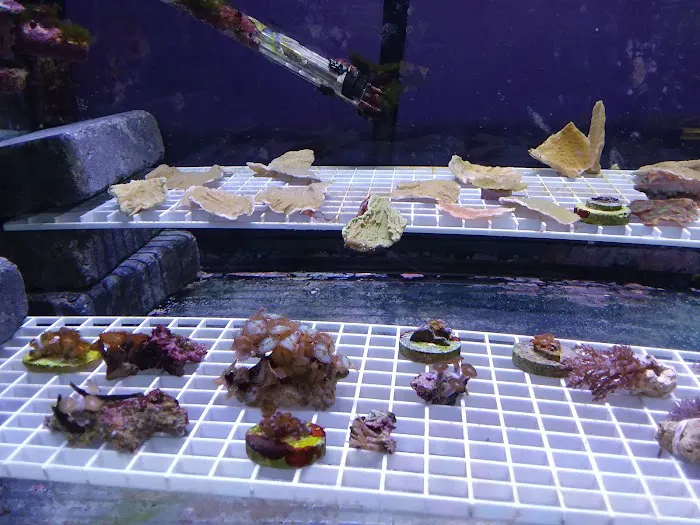 Waterbury Aquarium Picture 5