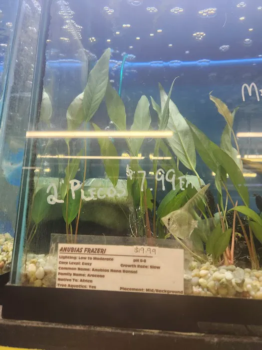 Waterbury Aquarium Picture 4