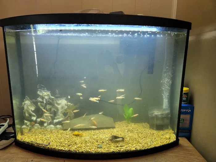 Waterbury Aquarium Picture 6