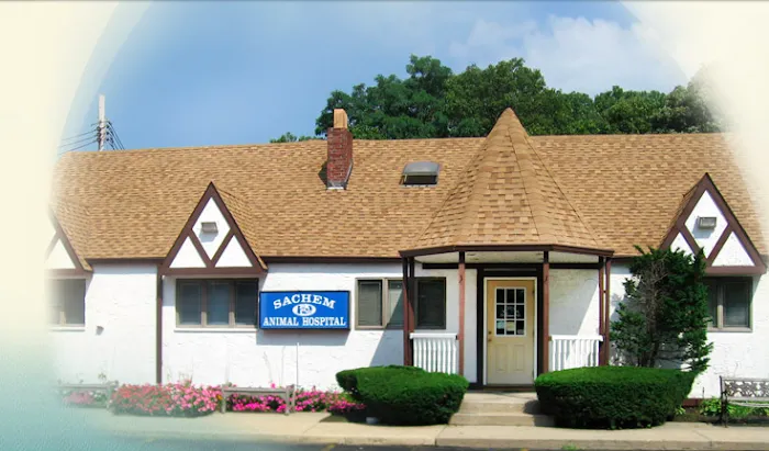 Sachem Animal Hospital Picture 3