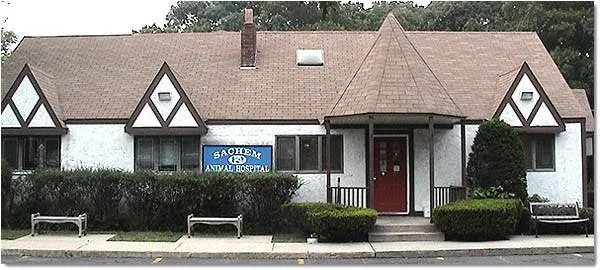 Sachem Animal Hospital Picture 4