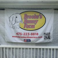 Brooke's Bunny Farm ico