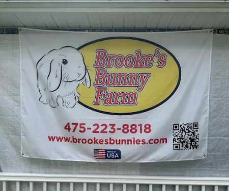 Brooke's Bunny Farm
