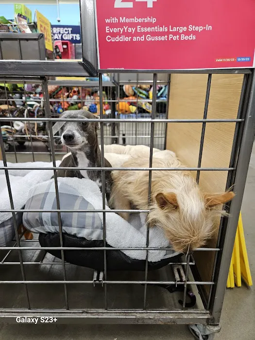 Petco Picture 1