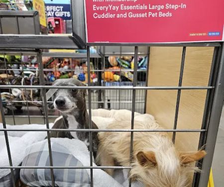 Petco
