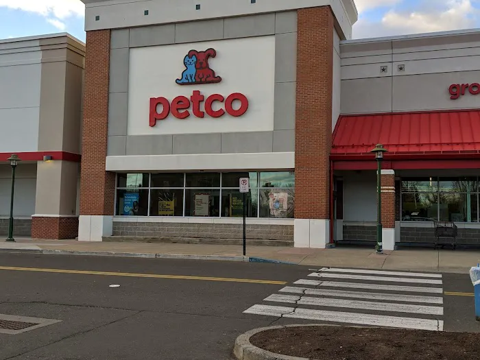 Petco Picture 3
