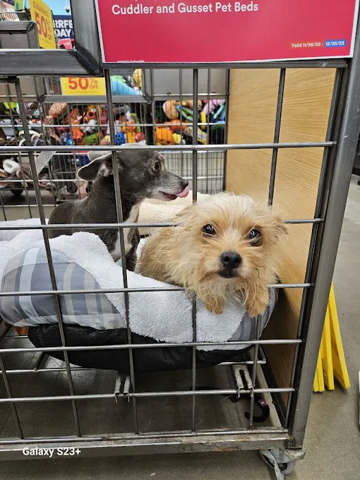 Petco Picture 6