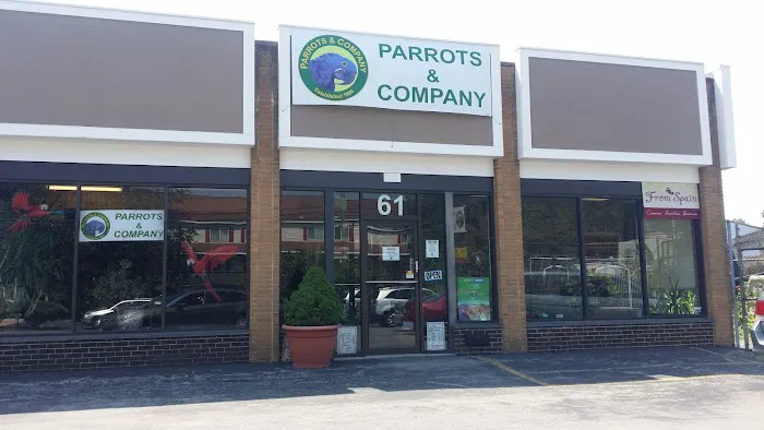 Parrots & Company Picture 1