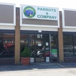 Parrots & Company