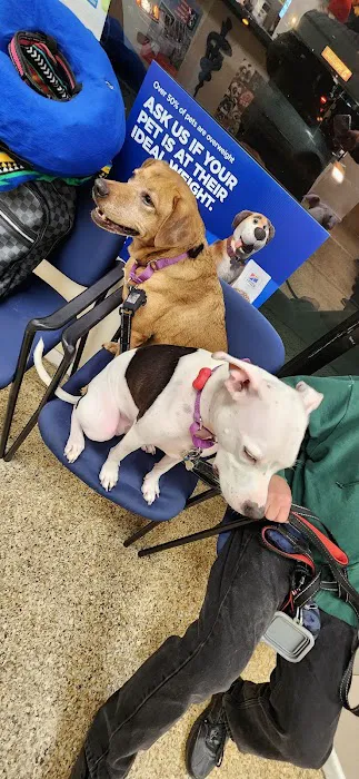 Mineola Animal Hospital Picture 2