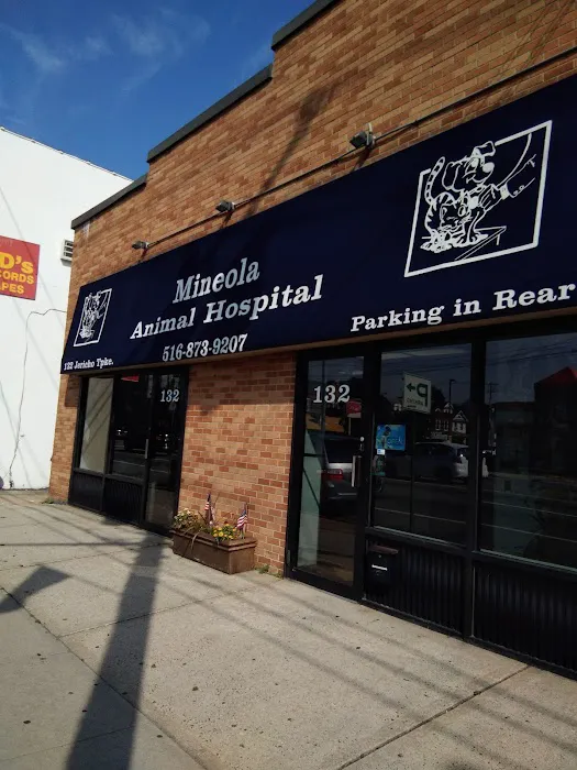 Mineola Animal Hospital Picture 8