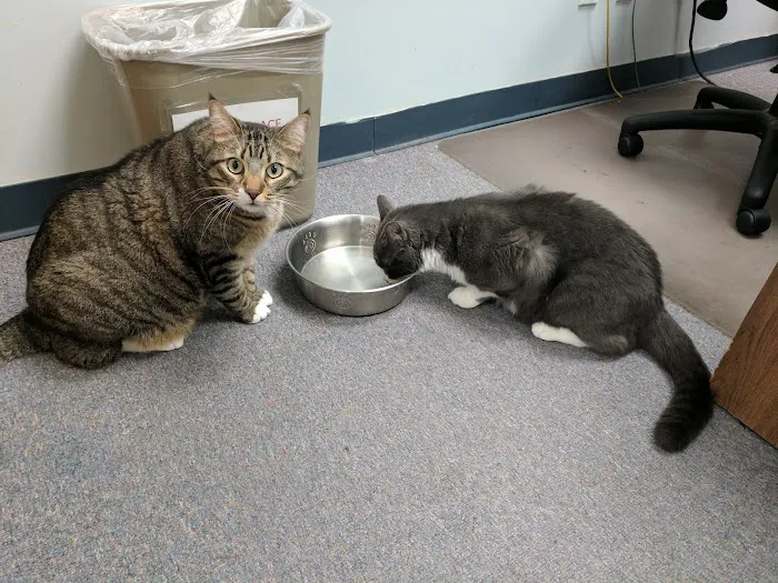 Mineola Animal Hospital Picture 5