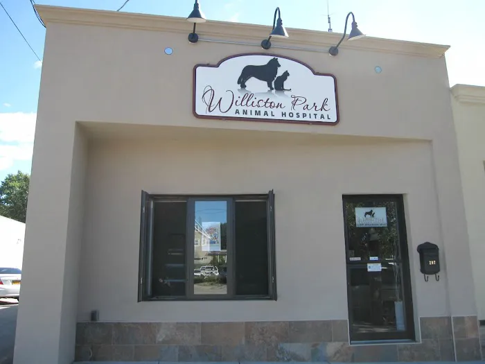 Williston Park Animal Hospital - Rehab & Acupuncture Picture 7