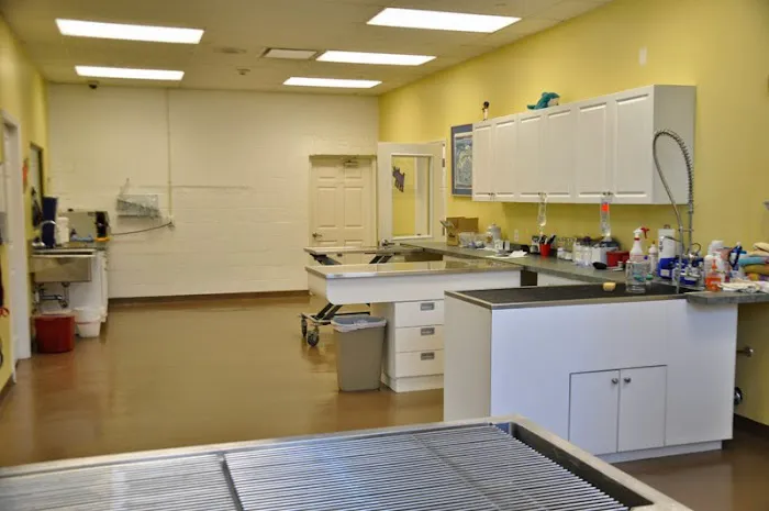 Garden City Veterinary Care Picture 2