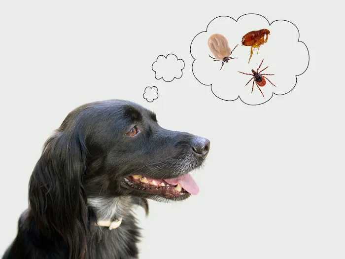 Garden City Veterinary Care Picture 4