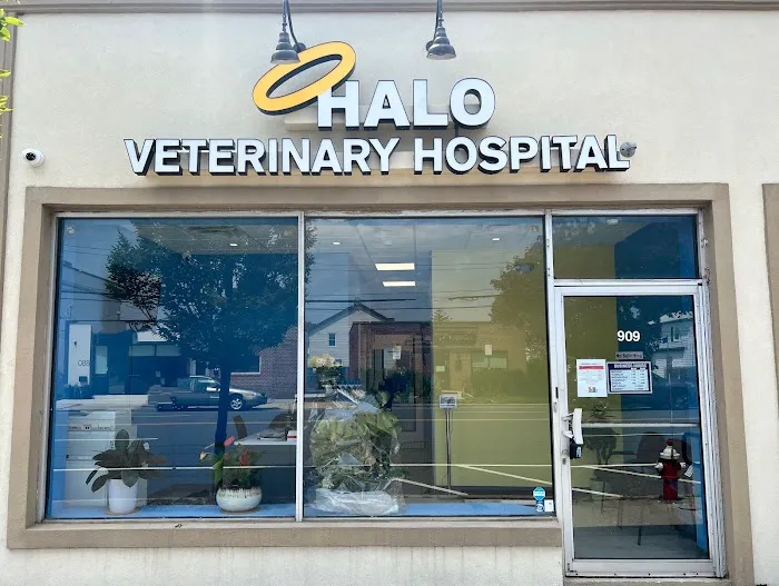 Halo Veterinary Hospital Picture 1