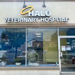 Halo Veterinary Hospital