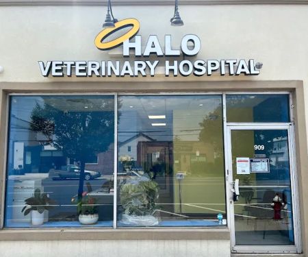 Halo Veterinary Hospital