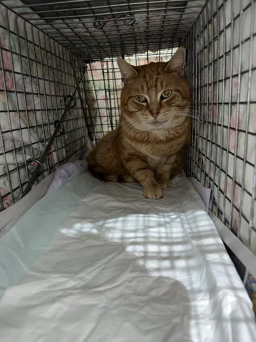Halo Veterinary Hospital Picture 8