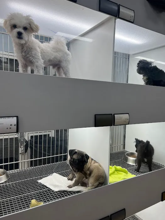 CT Breeder Picture 10