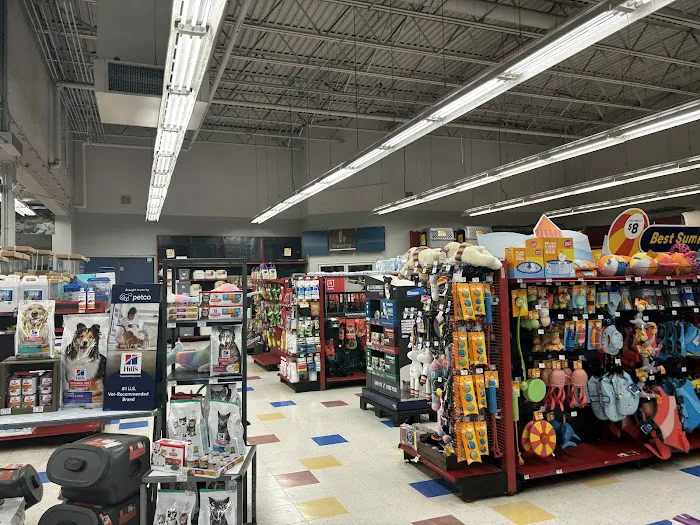 Petco Picture 3