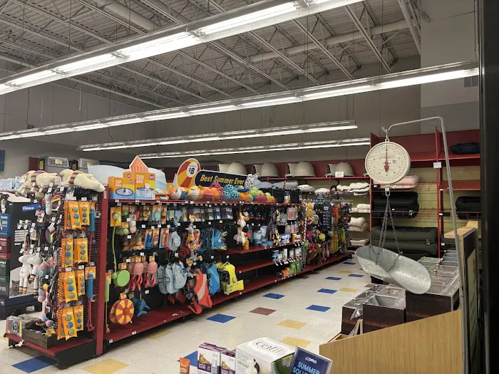 Petco Picture 2