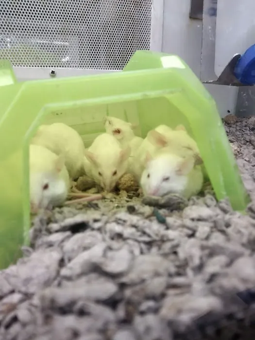 Petco Picture 5