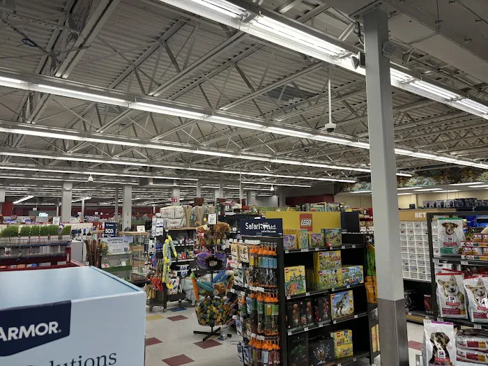 Petco Picture 4