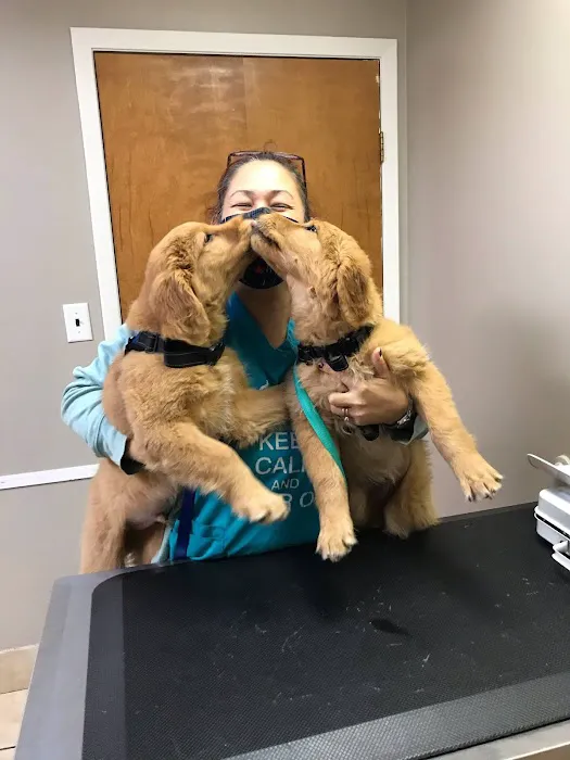 Banfield Pet Hospital Picture 7