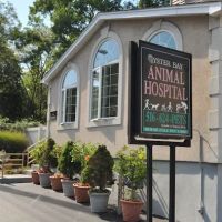 Oyster Bay Animal Hospital ico