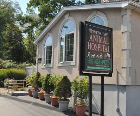 Oyster Bay Animal Hospital