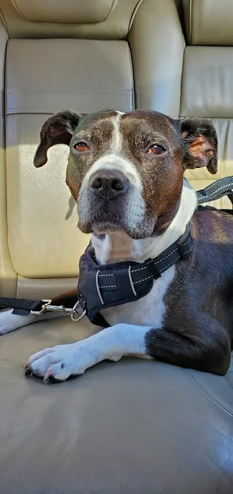 Brookville Animal Hospital Picture 7