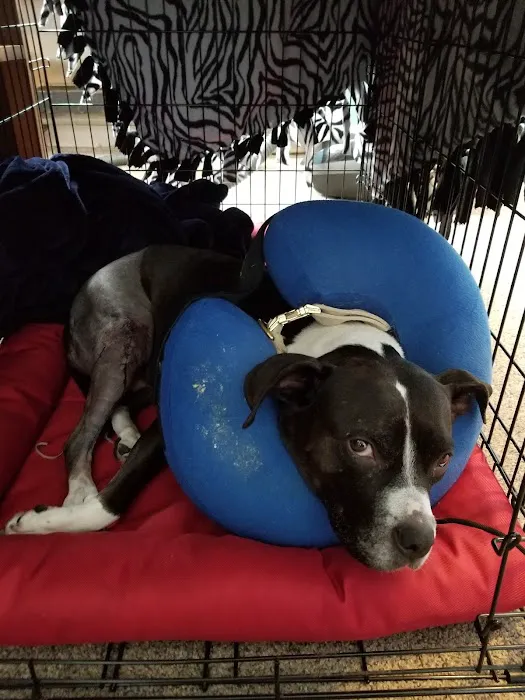 Brookville Animal Hospital Picture 8