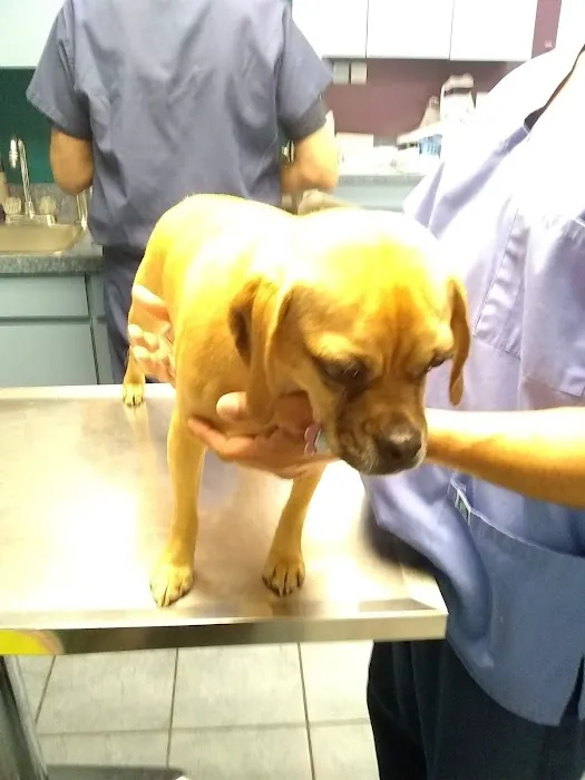 Brookville Animal Hospital Picture 10