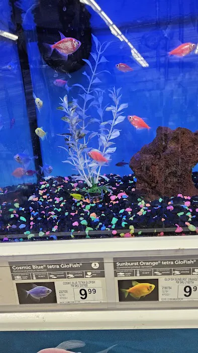 Petco Picture 1