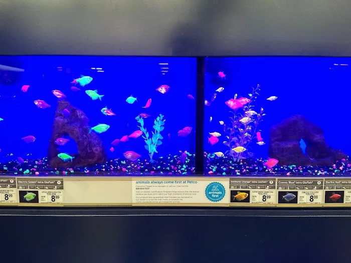Petco Picture 7