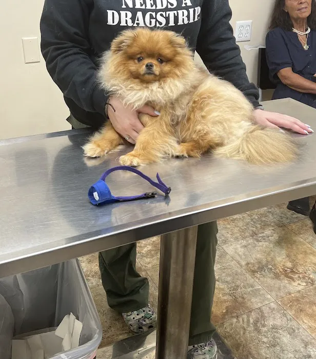 Station Plaza Veterinary Group Picture 6