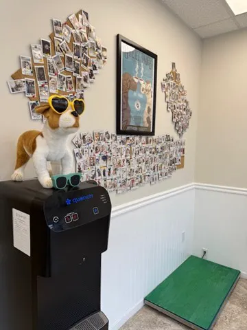 West Hills North Veterinary Clinic Picture 6