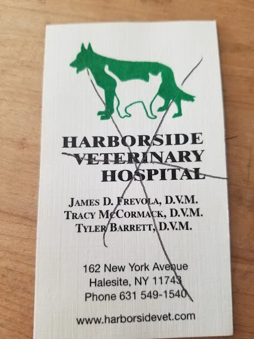 Harborside Veterinary Hospital Picture 8