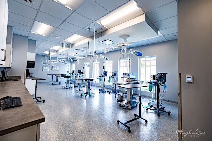 Veterinary Surgical Center of Long Island Picture 5
