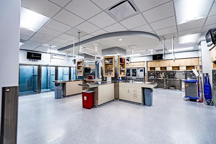 Veterinary Surgical Center of Long Island Picture 4