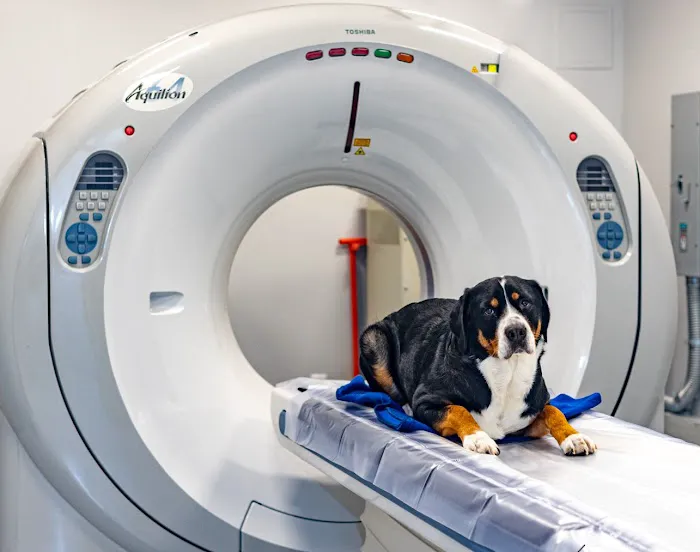 Veterinary Surgical Center of Long Island Picture 8