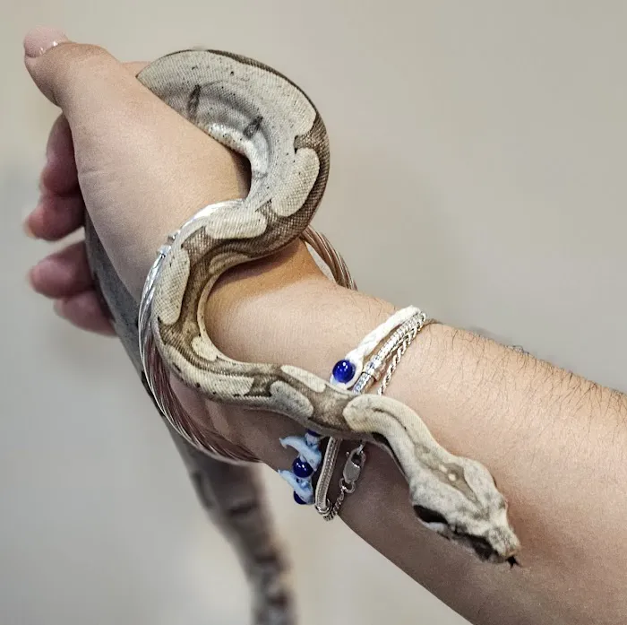 A to Z Pet Shop Picture 5