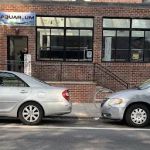 City Island Aquarium Tropical Fish Sales