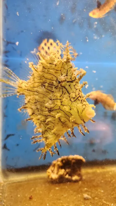 City Island Aquarium Tropical Fish Sales Picture 3